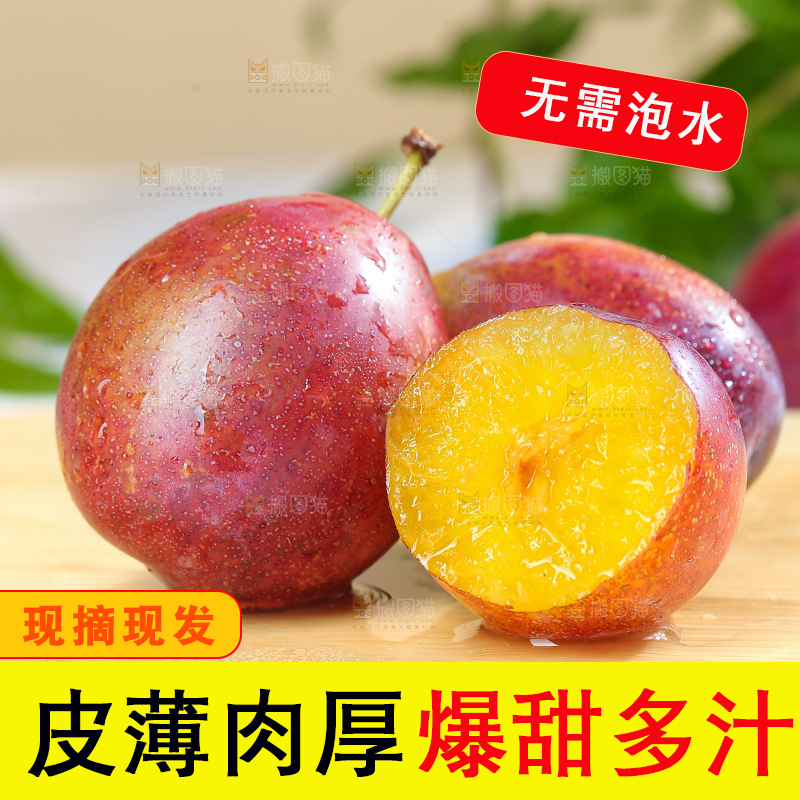 浅底上的澳洲西梅