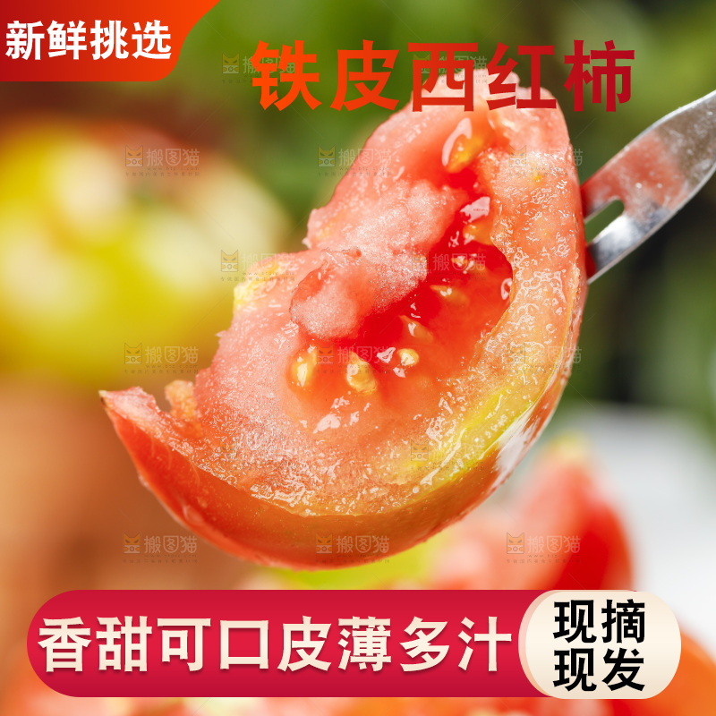 浅底上的铁皮西红柿