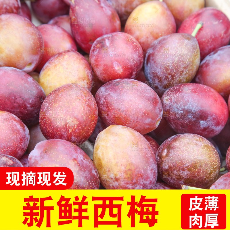 深底上的澳洲西梅