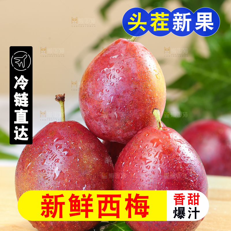 浅底上的澳洲西梅