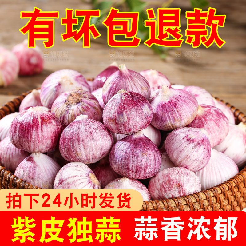 木底上的紫皮独头蒜