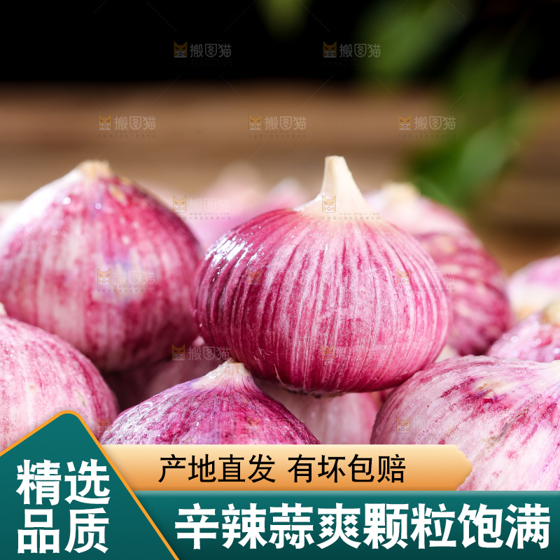 木底上的紫皮独头蒜