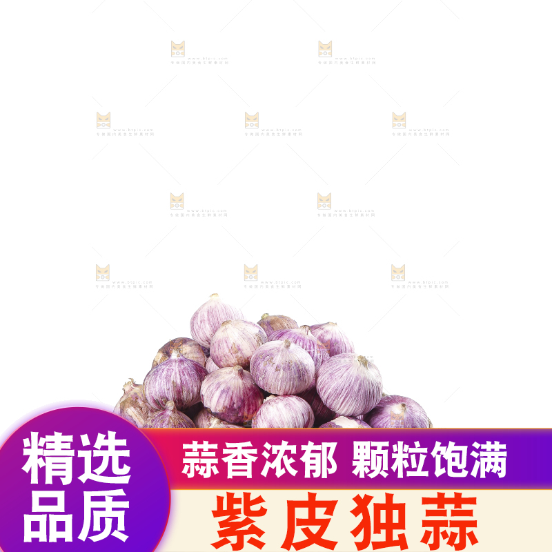 白底上的紫皮独头蒜