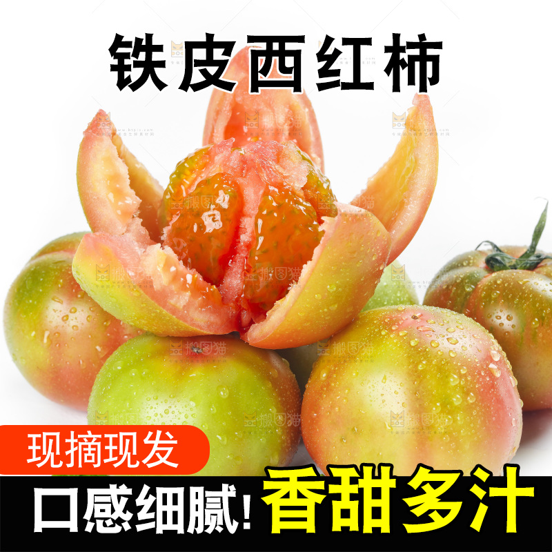白底上的铁皮西红柿