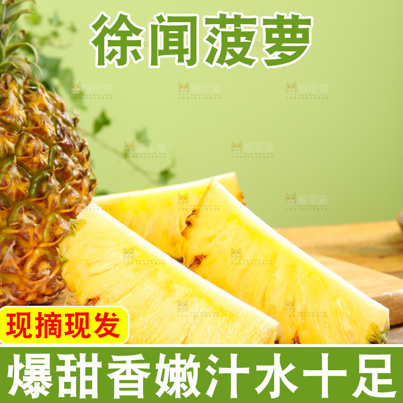 浅底上的徐闻菠萝