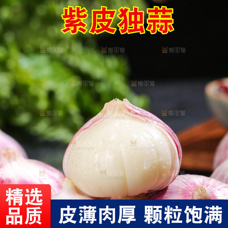 深底上的紫皮独蒜