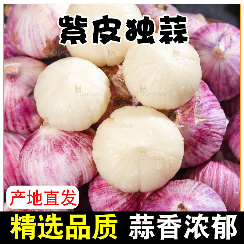 深底上的紫皮独蒜