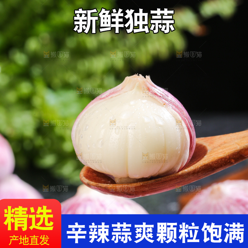 深底上的紫皮独蒜