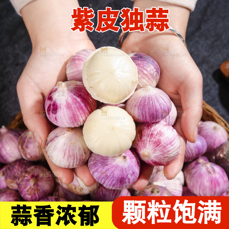 深底上的紫皮独蒜