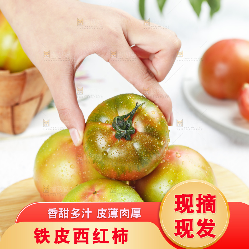浅底上的铁皮西红柿