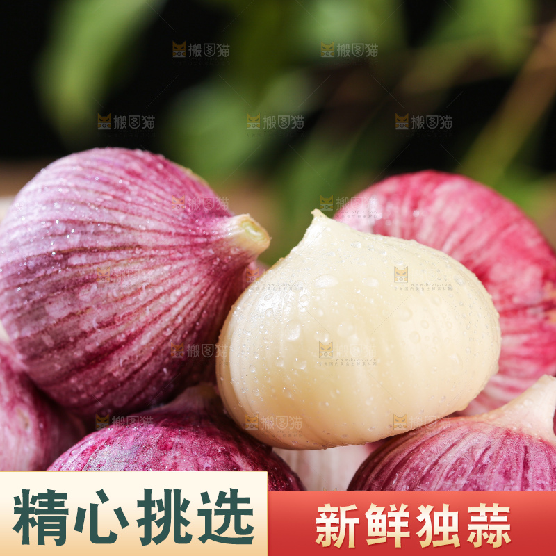 木底上的紫皮独头蒜