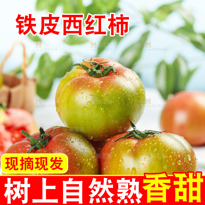 浅底上的铁皮西红柿