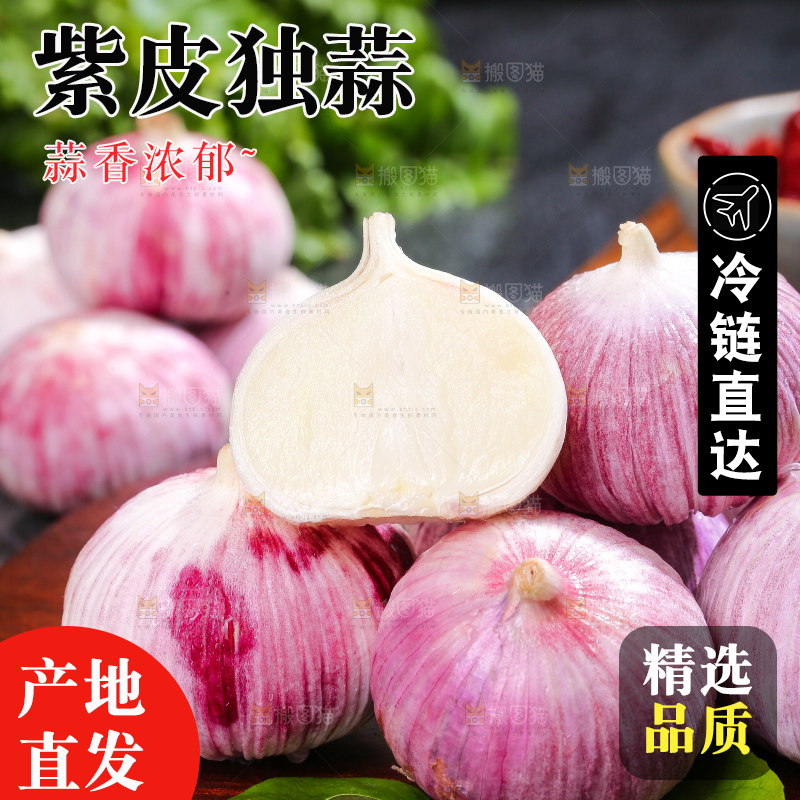 深底上的紫皮独蒜