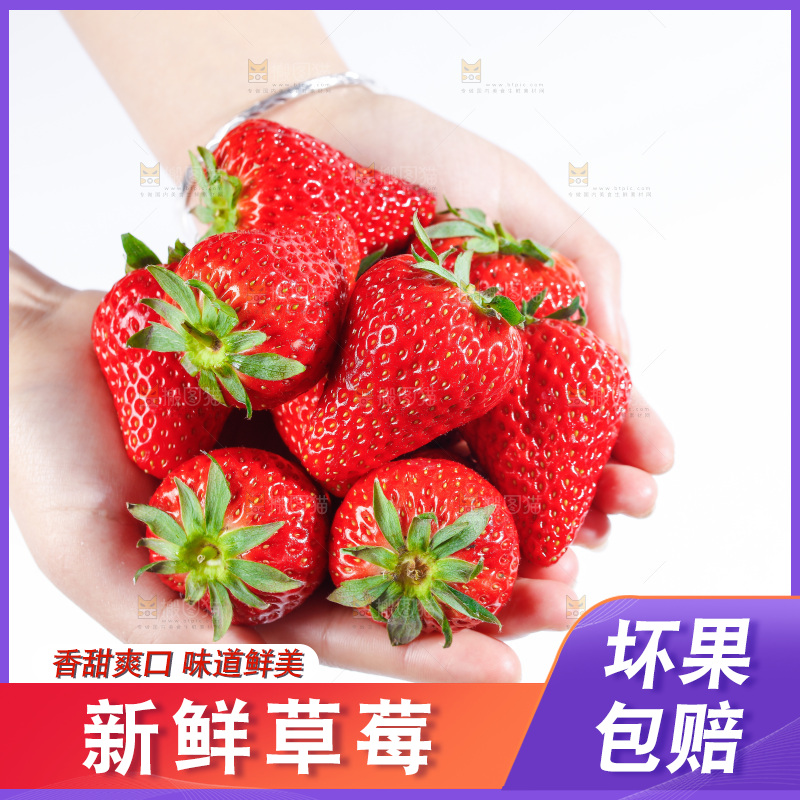 手里拿着丹东草莓