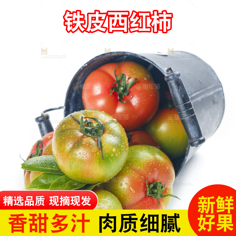 白底上的铁皮西红柿