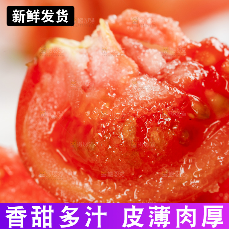 浅底上的铁皮西红柿
