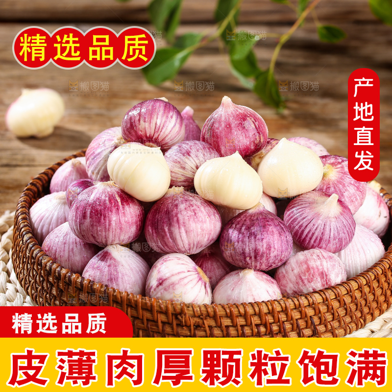 木底上的紫皮独头蒜