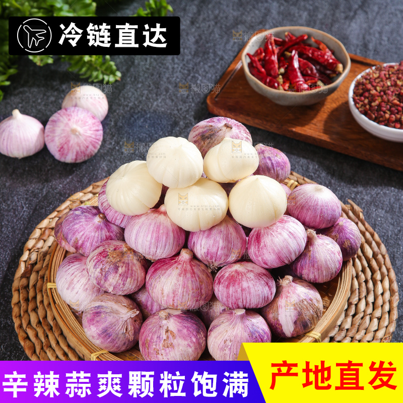 深底上的紫皮独蒜