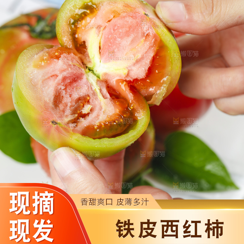 浅底上的铁皮西红柿
