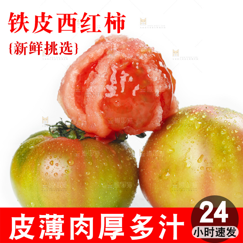 白底上的铁皮西红柿