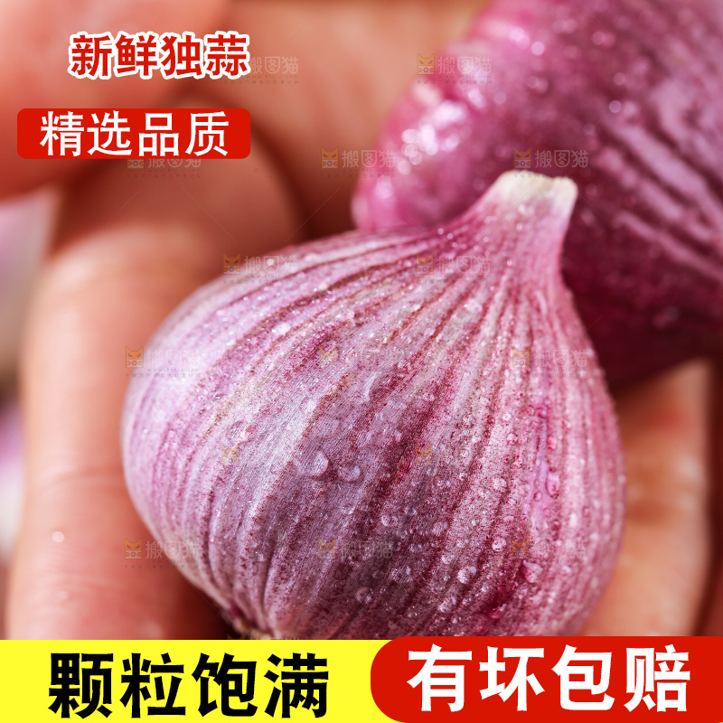 木底上的紫皮独头蒜