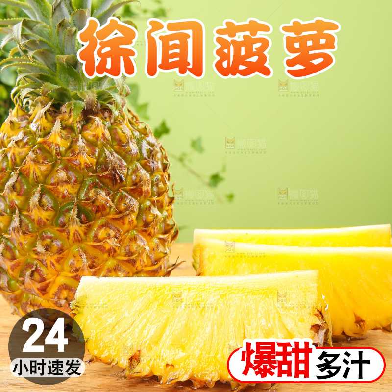 浅底上的徐闻菠萝