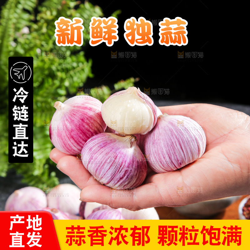 独头蒜主图