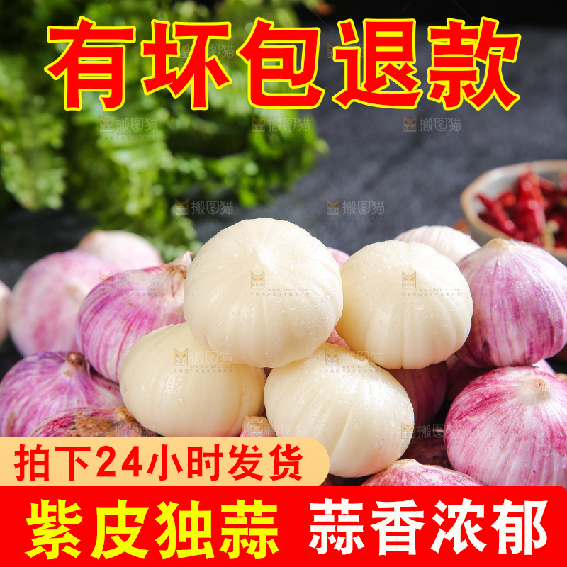 深底上的紫皮独蒜