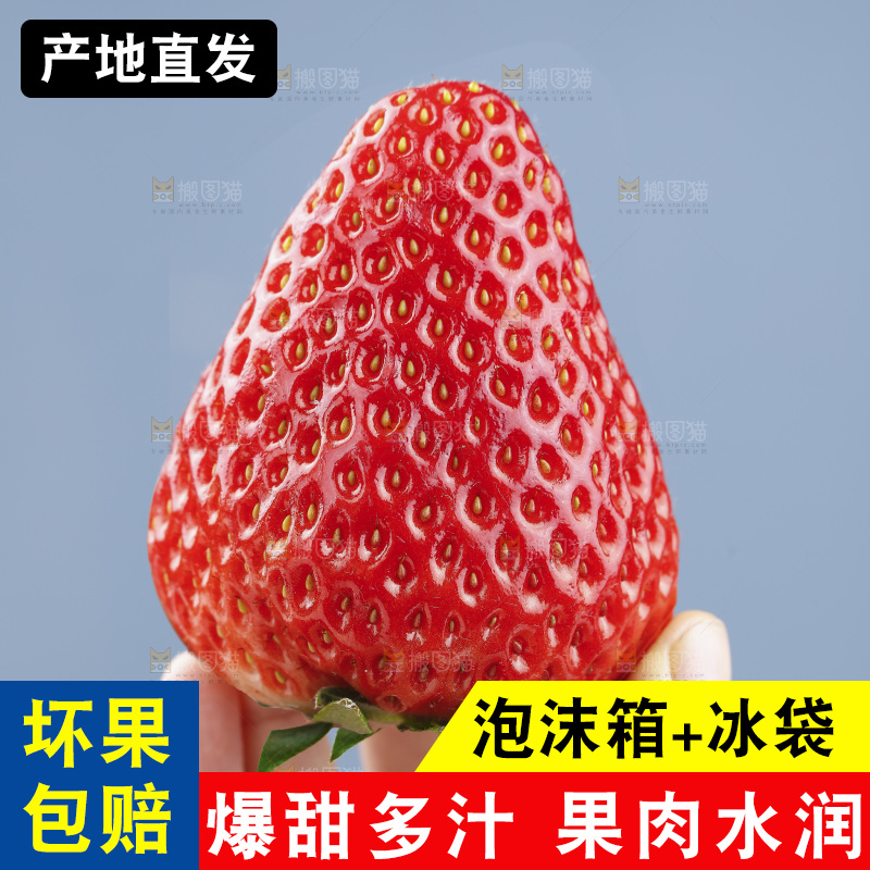 手里拿着丹东草莓