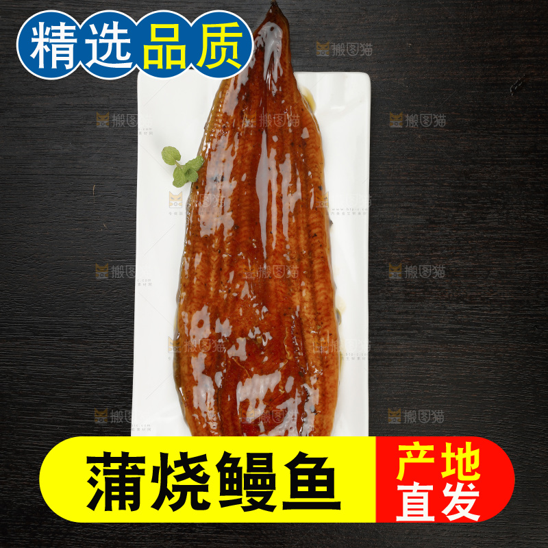 深底上的照烧鳗鱼