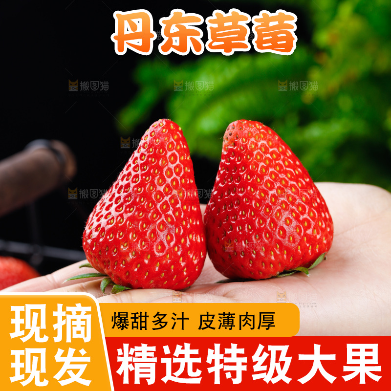 深底上的丹东草莓