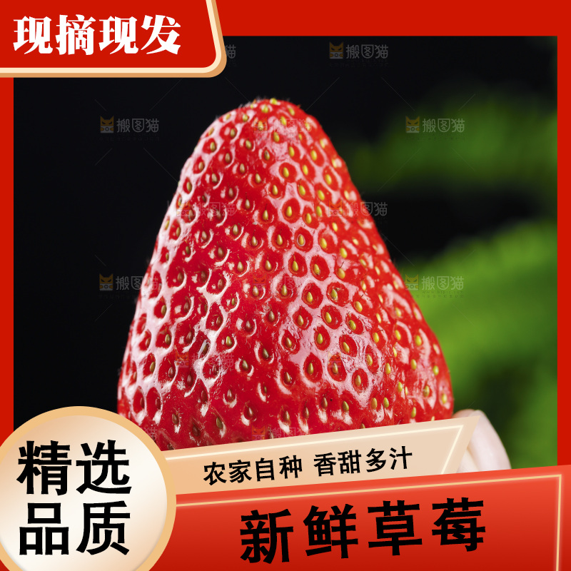 丹东草莓主图