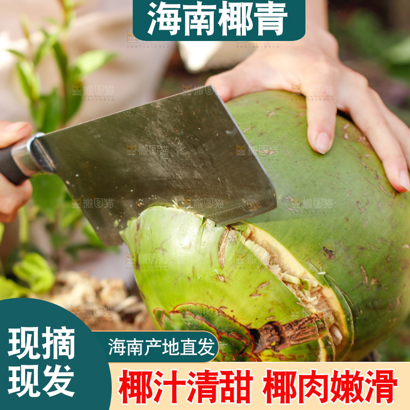 手里拿着椰青