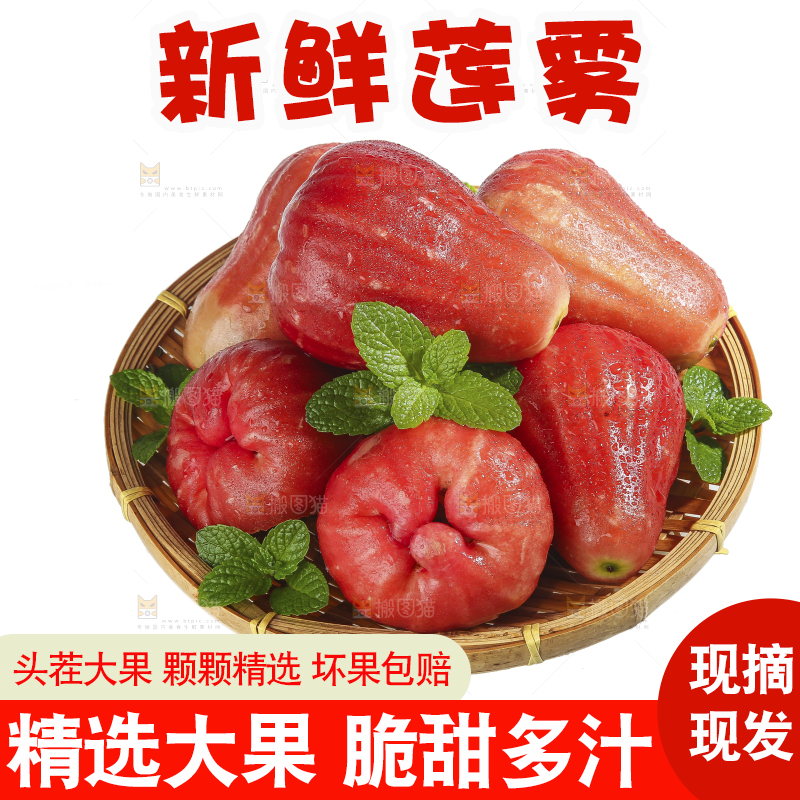白底上的新鲜莲雾
