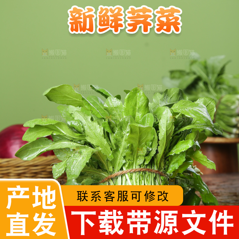 木底上的地菜