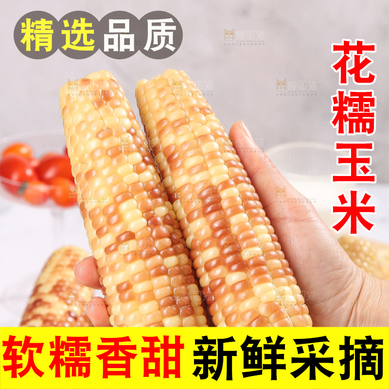浅底上的花糯小玉米