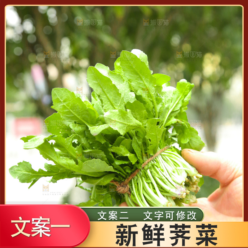 手里拿着地菜