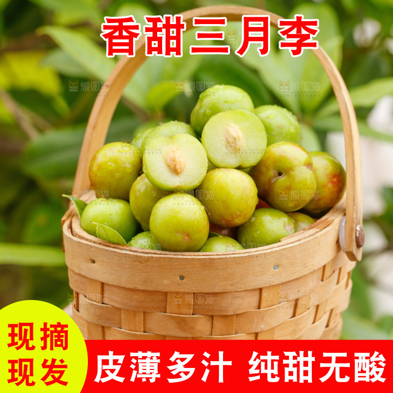 手里拿着三月李