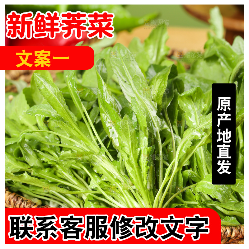 木底上的地菜