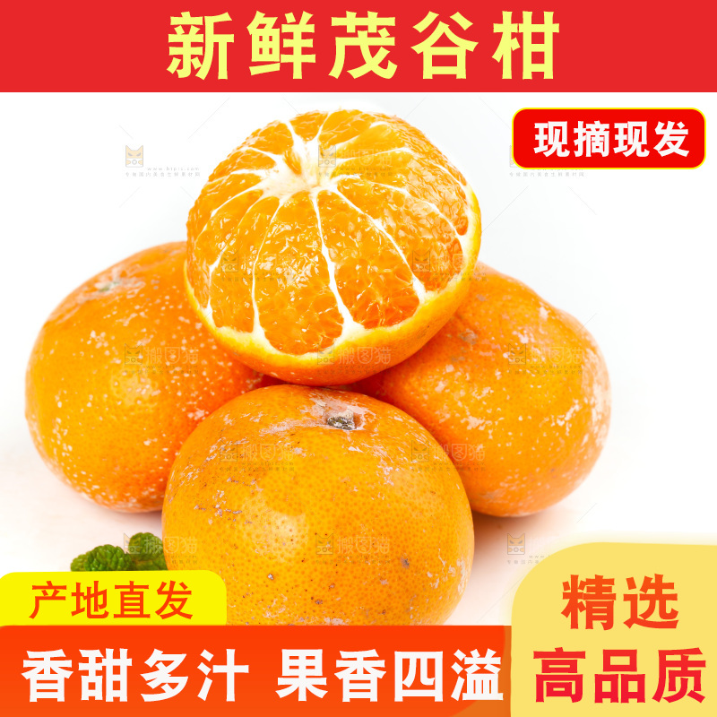 白底上的茂谷柑