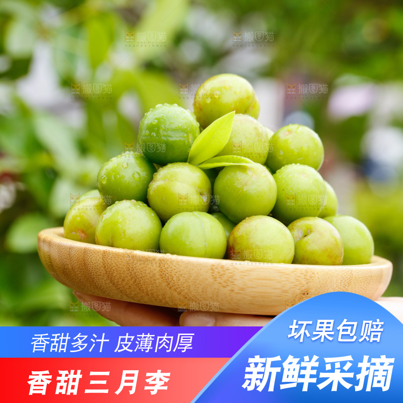 手里拿着三月李