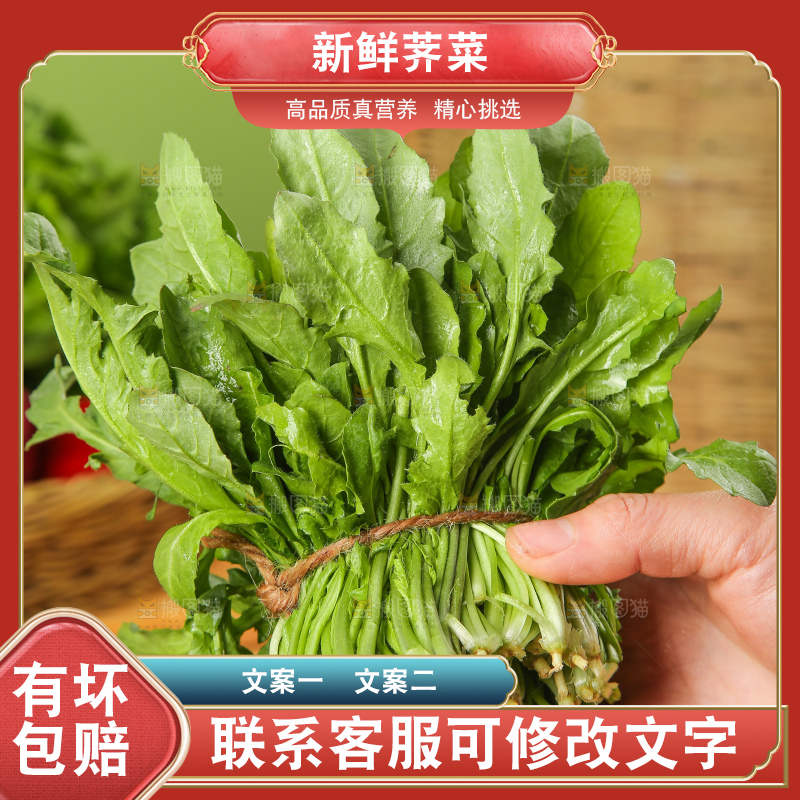 木底上的地菜