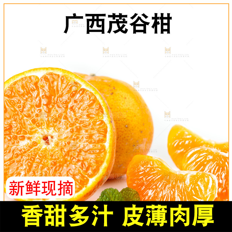 白底上的茂谷柑