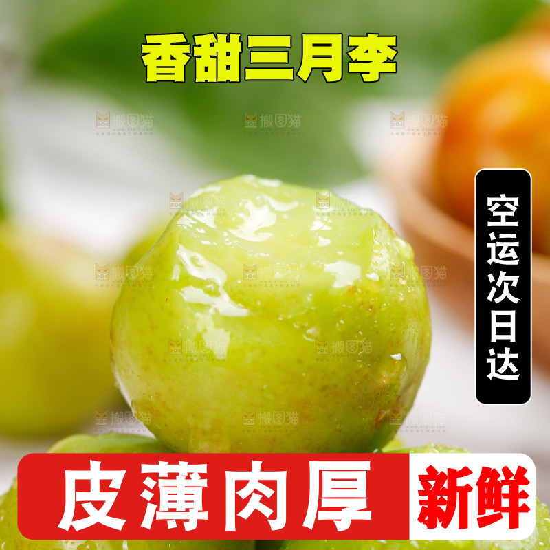 浅底上的三月李