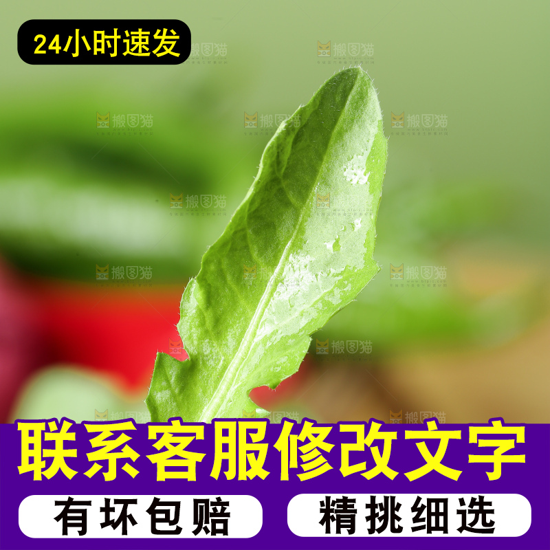 木底上的地菜
