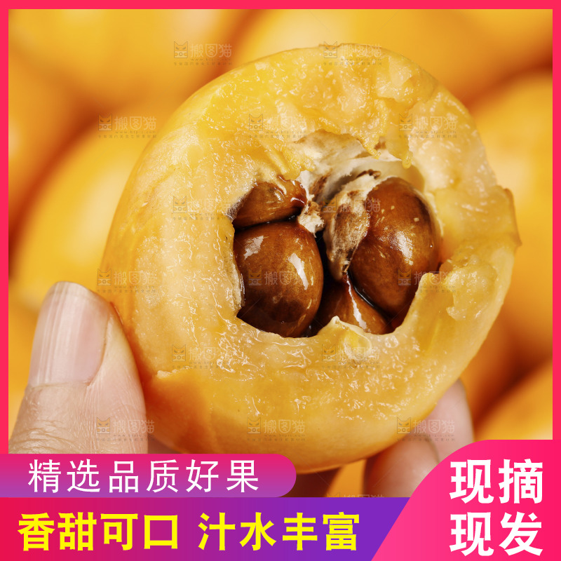深底上的枇杷