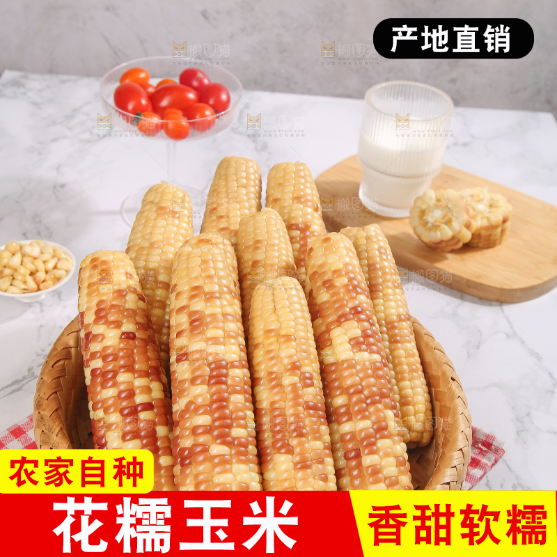 浅底上的花糯小玉米