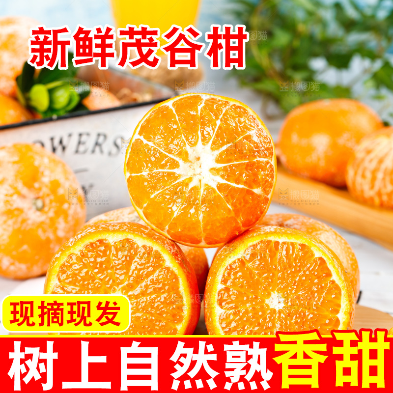 浅底上的茂谷柑