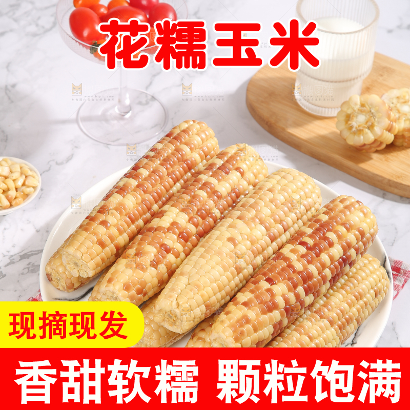 浅底上的花糯小玉米