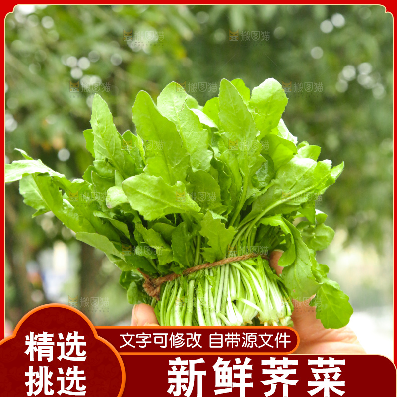 手里拿着地菜